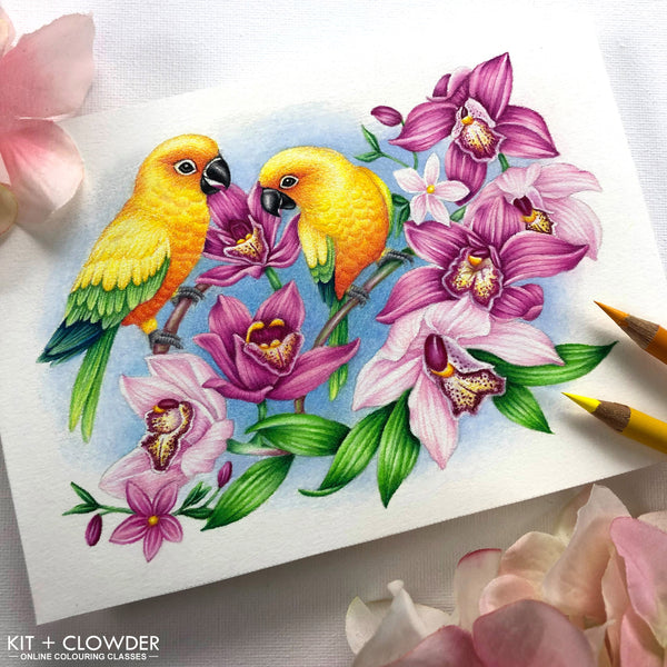 Perched in the Orchids Digital Stamp Set