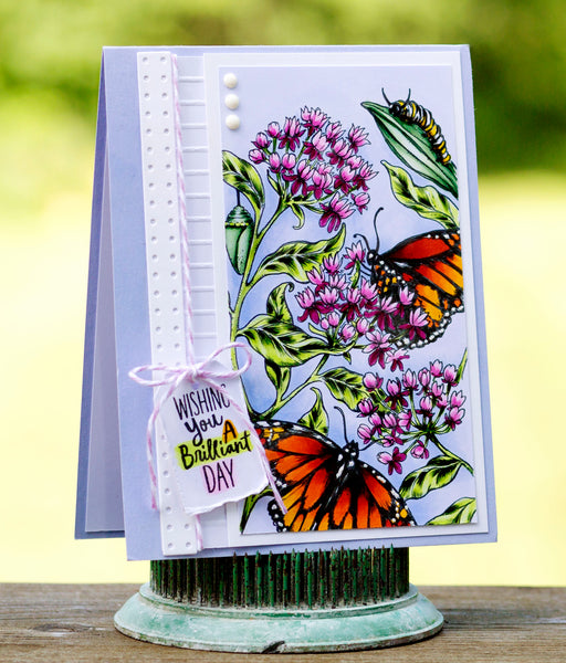 Monarchs and Milkweed Digital Stamp Set