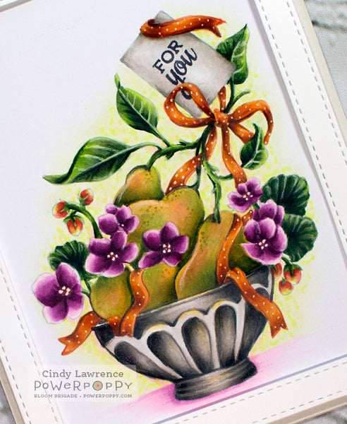 My Favorite Pair Digital Stamp Set