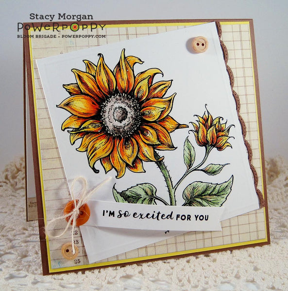 Nice Things to Say Stamp Set