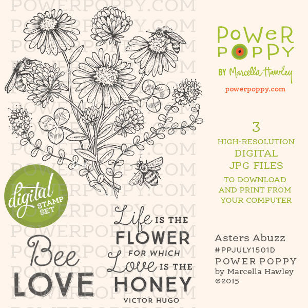 Asters Abuzz Digital Stamp Set