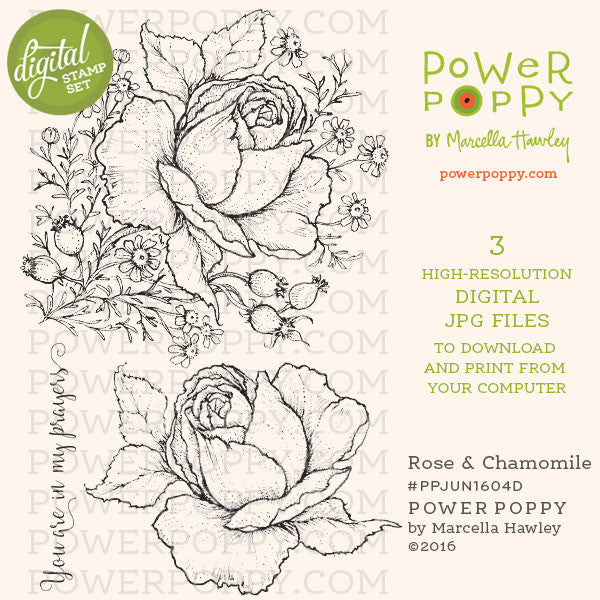 Rose and Chamomile Digital Stamp Set