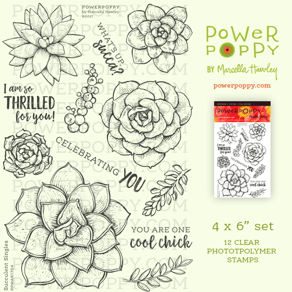 succulent stamp set Succulent Singles Stamp Set