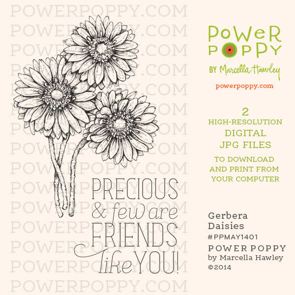 Gerbera Daisies Digital Stamp Set