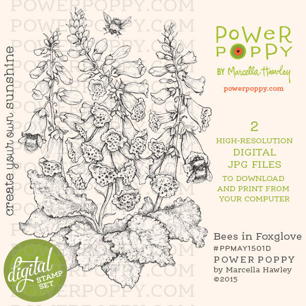 Bees in Foxglove Digital Stamp Set