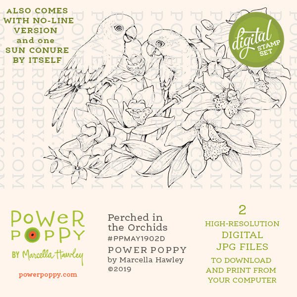 Perched in the Orchids Digital Stamp Set