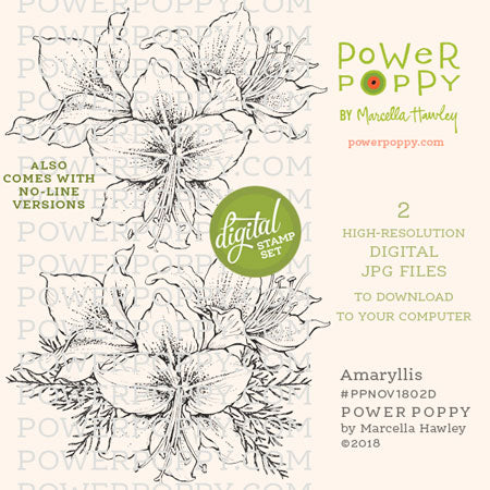 Amaryllis Digital Stamp Set
