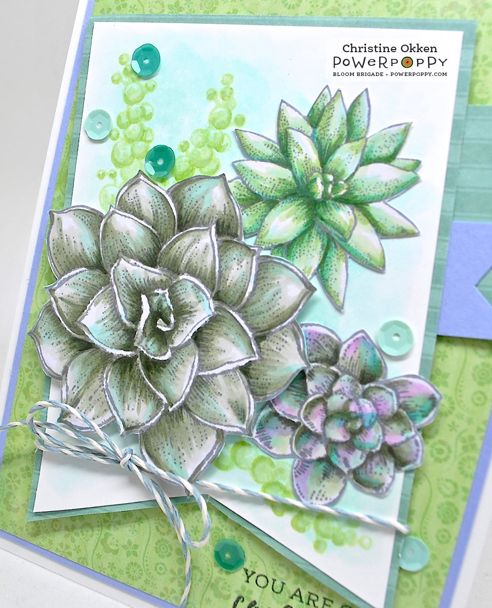 succulent stamp set So Succulent Digital Stamp Set