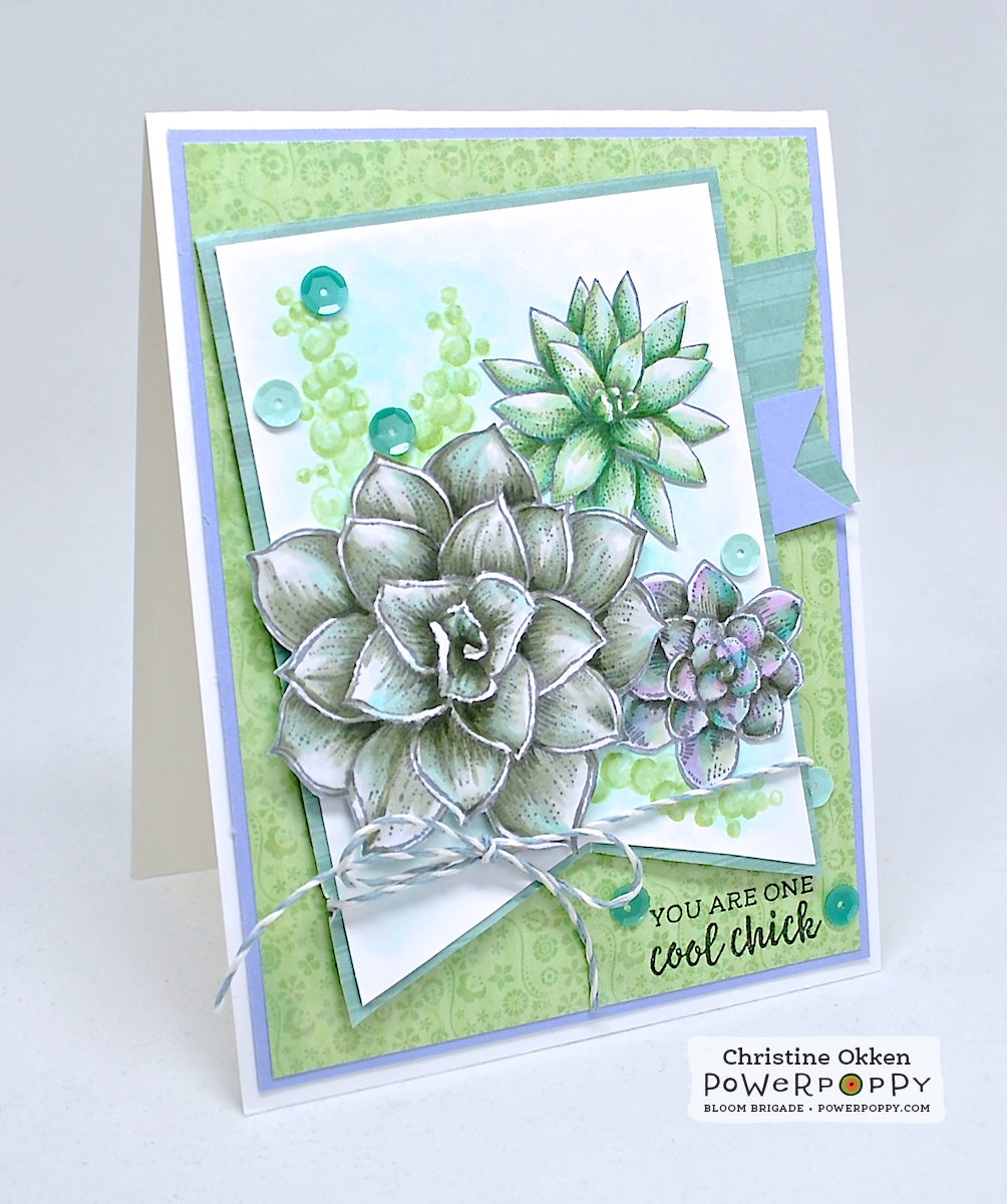 succulent postage stamps So Succulent Digital Stamp Set