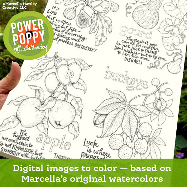 Folklore Flora Digital Stamp Package