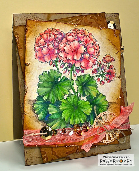 Geraniums Digital Stamp Set
