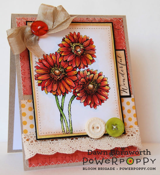 Gerbera Daisies Digital Stamp Set