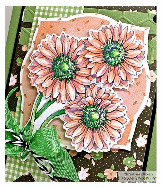 Gerbera Daisies Digital Stamp Set