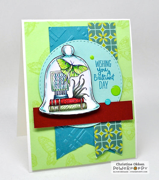 Under Glass Stamp Set