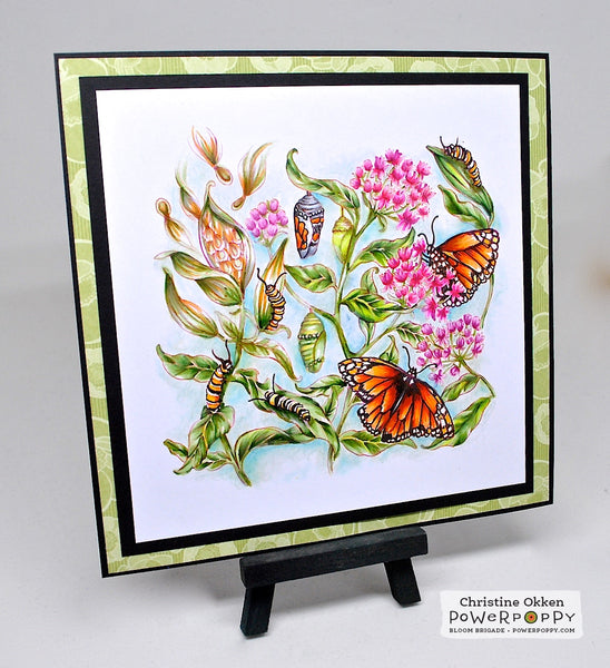 Monarchs and Milkweed Digital Stamp Set