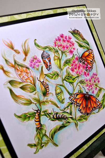 Monarchs and Milkweed Digital Stamp Set