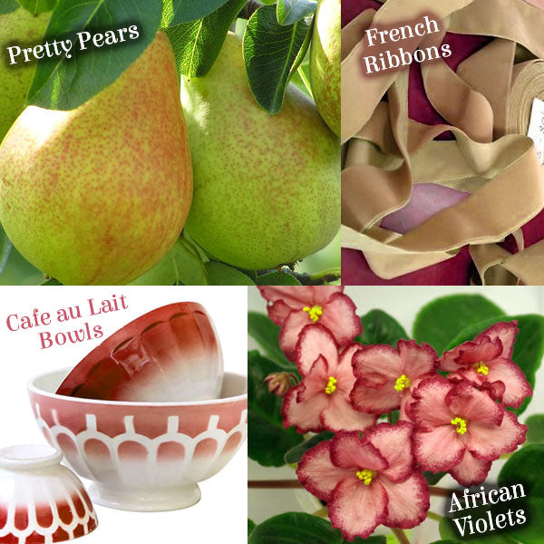 My Favorite Pair Digital Stamp Set