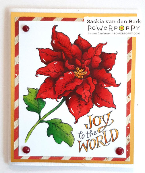 Poinsettia XL Digital Stamp Set