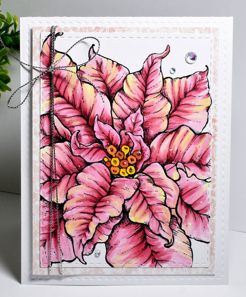 Poinsettia XL Digital Stamp Set