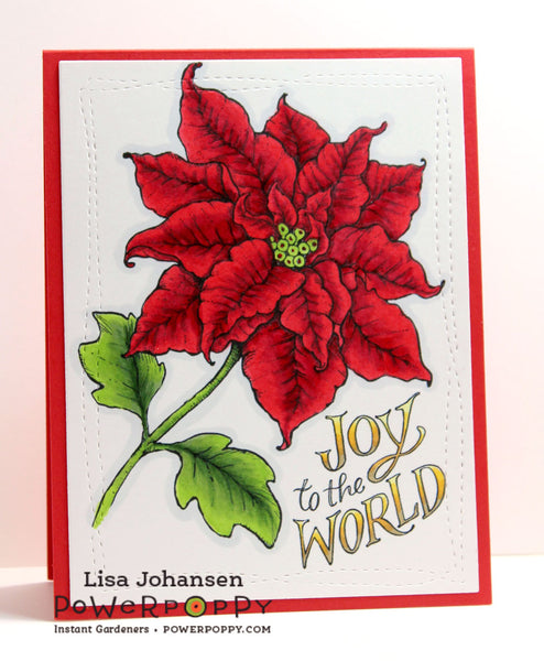 Poinsettia XL Digital Stamp Set