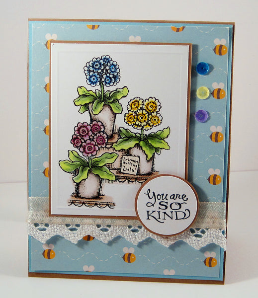 Auricula Theatre Digital Stamp Set