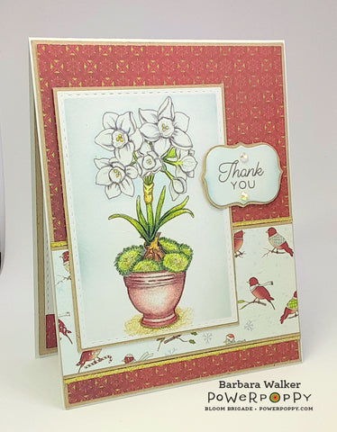 Mossy Pots with Paperwhites: Accent Pieces Digital Stamp Set