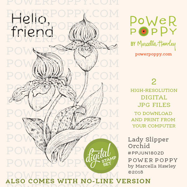 Lady Slipper Orchid Digital Stamp Set