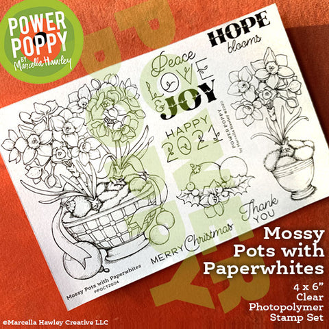 Mossy Pots with Paperwhites Clear Polymer Stamp Set