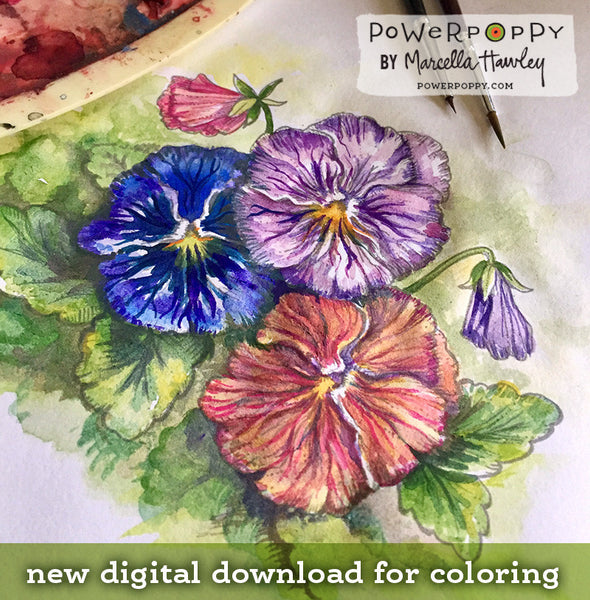 Pansies Digital Stamp Set