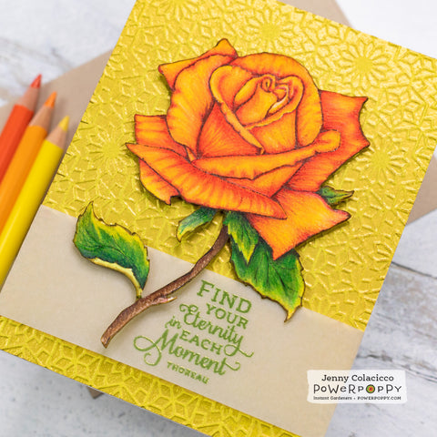 Rose Digital Stamp Set