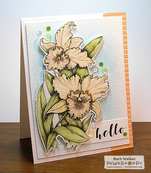 Ruffled Wild Orchids Digital Stamp Set