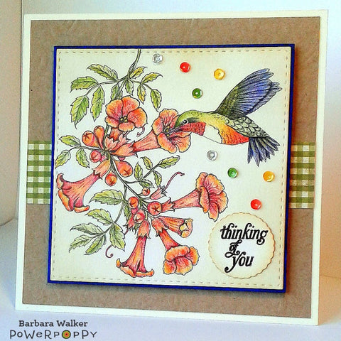 Trumpet Vine Visitor Digital Stamp Set