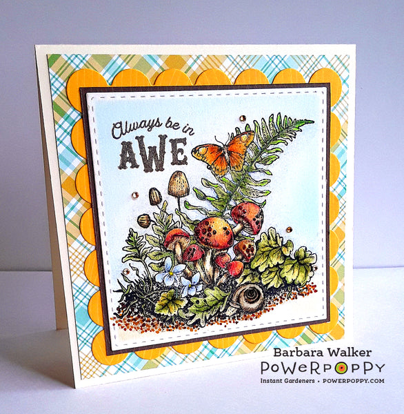 Ferns and Fungi Digital Stamp Set