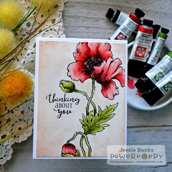 Perfect Poppies Digital Stamp Set