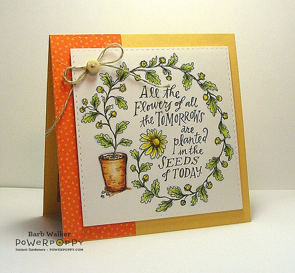 Seeds of Today Digital Stamp Set