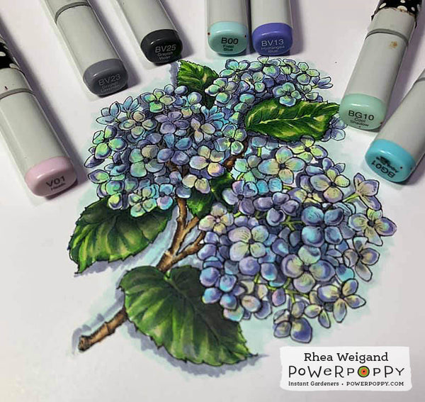 Hydrangea Hype Digital Stamp Set