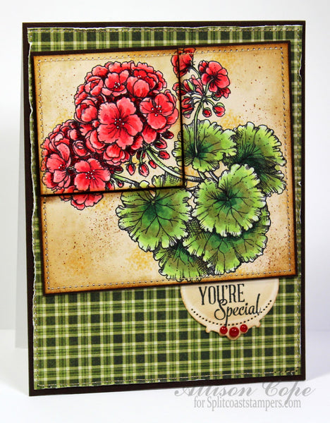 Geraniums Digital Stamp Set
