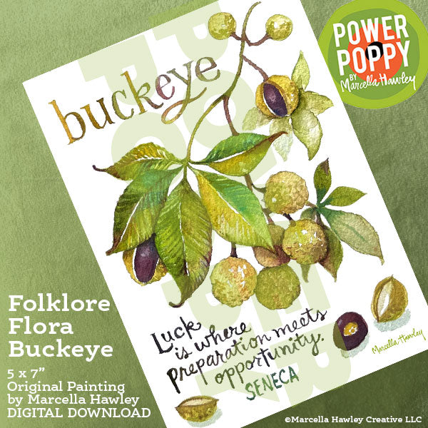 Folklore Flora Buckeye Watercolor Download