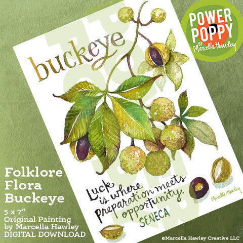 Folklore Flora Buckeye Watercolor Download