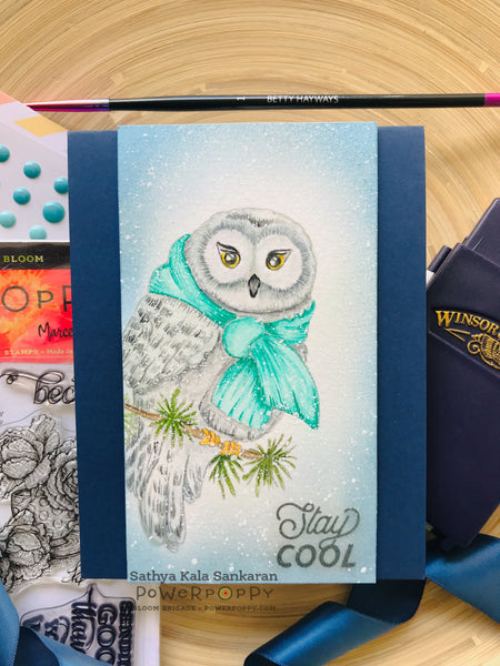 Forest Fellas: Odell Owl Digital Stamp Set