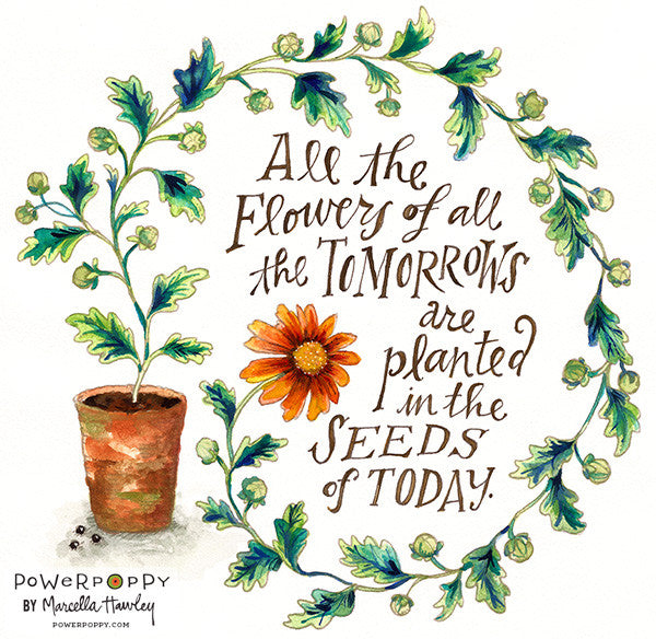 Seeds of Today Digital Stamp Set