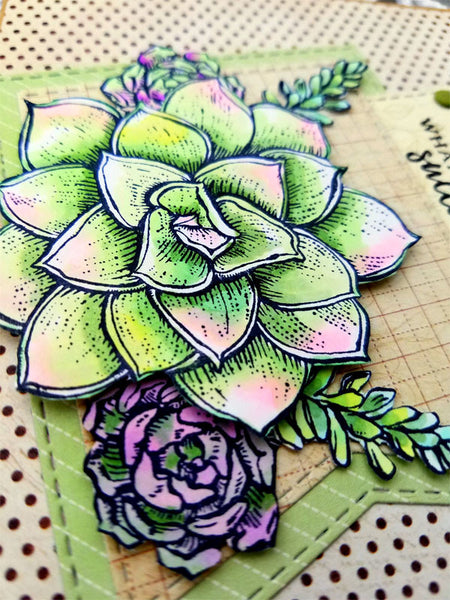 Succulent Singles Stamp Set