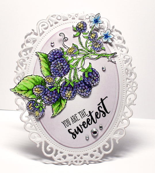 Summer Berries Stamp Set