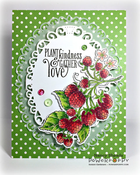 Summer Berries Stamp Set
