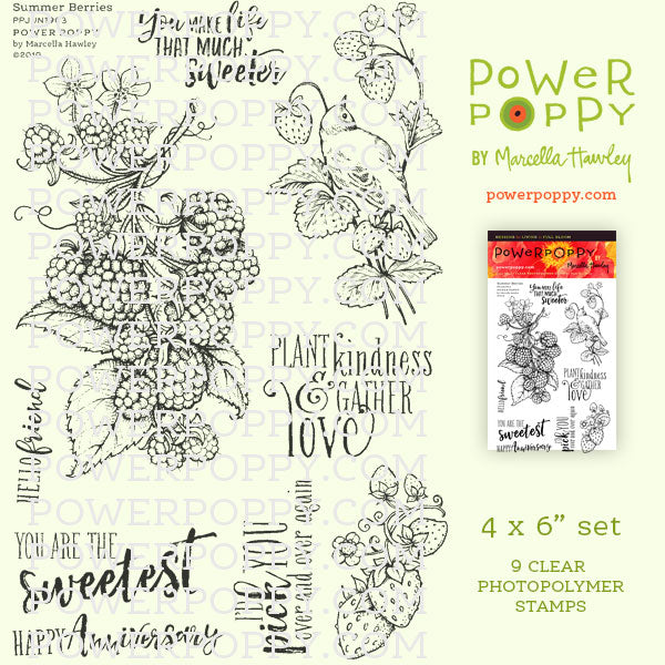 Summer Berries Stamp Set