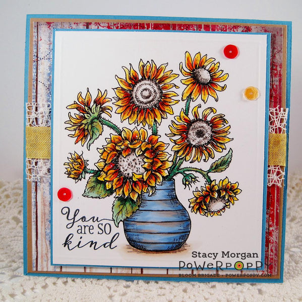 Nice Things to Say Stamp Set