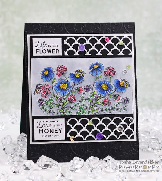 Asters Abuzz Digital Stamp Set