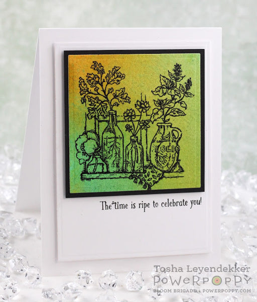 Go Wild Stamp Set