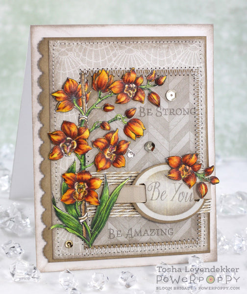 Orchids Rock Stamp Set