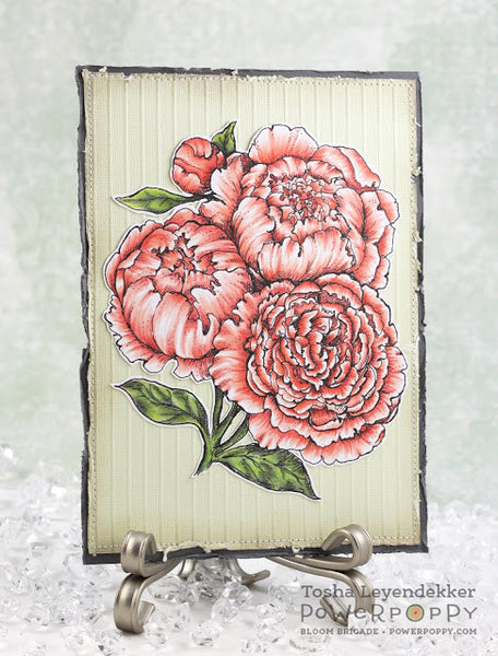 Peonies Digital Stamp Set